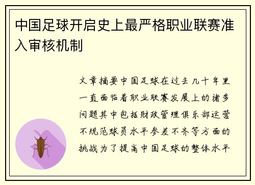 中国足球开启史上最严格职业联赛准入审核机制 中国足球开启史上最严格职业联赛准入审核机制